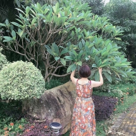 广州qm真实收录 验证个性价比不错的御姐