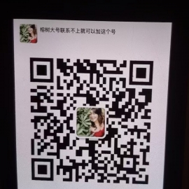 无敌大奶牛